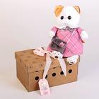 Мягкая игрушка «Кошечка Ли-Ли», в розовом платье, с серой сумочкой, 24 см - Фото 3