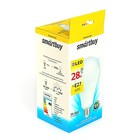 Лампа cветодиодная Smartbuy, A95, E27, 28 Вт, 3000 К - Фото 2