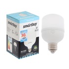 Лампа cветодиодная Smartbuy, E27, 30 Вт, 4000 К, дневной белый свет, переходник на E40-E27 - Фото 1