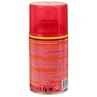 Освежитель воздуха Chirton Фреш Лайн "Тропический Оазис", сменный баллон, 250 мл - Фото 2