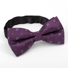 Набор мужской: галстук-бабочка 12 х 6, платок 21 х 21, фиолетовый, п/э - Фото 5
