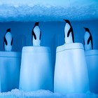 Форма для эскимо Penguin On Ice - Фото 4