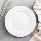 Тарелка обеденная, d=27 см, цвет белый - фото 321258359