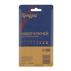 Набор ключей ТУНДРА black, TORX Tamper, CrV, TT10 - TT50, 9 шт. - Фото 4