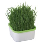 Проращиватель для зелёной травки, для кошек, «Здоровья Клад» - Фото 1