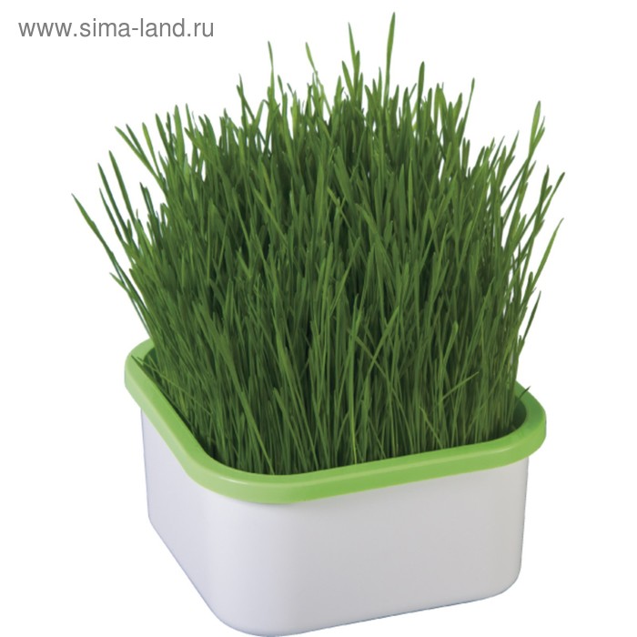 Проращиватель для зелёной травки, для кошек, «Здоровья Клад» - Фото 1