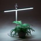Фитосветильник «Растущий светильник», 16 Вт, 220 В, 560 × 220 × 560 мм, на подставке - фото 8356663