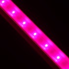 Фитосветильник светодиодный, 9 Вт, 572 мм, сине-красный спектр, фиолетовый, FITO-9W-Т5-N, «ЭРА» - Фото 7