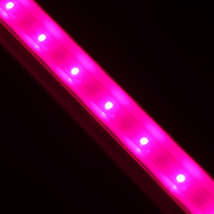 Фитосветильник светодиодный, 9 Вт, 572 мм, сине-красный спектр, фиолетовый, FITO-9W-Т5-N, «ЭРА» - фото 1908346299