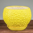 Горшок для цветов "Шар", пузыри, жёлтый, керамика, 9 л - Фото 1