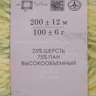 Пряжа "Радужный стиль" 25% шерсть, 75% ПАН 200м/100гр (1039-Мулине св.желтый/салатовый) - Фото 3