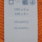 Пряжа "Зимний вариант" 95% имп.шерсть, 5% акрил объёмный 100м/100гр (259-Осенний лист) - Фото 3