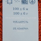 Пряжа для вязания спицами, крючком «Пехорский текстиль. Зимний вариант», 95% импортная шерсть, 5% акрил объёмный, 100 м/100 г, (360 св. глина) 2870119 - фото 1273898