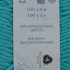 Пряжа "Зимняя премьера" 50%меринос.шерсть, 50% акрил объёмный 150м/100гр (581-Св.изумруд) - Фото 3