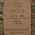 Пряжа "Сувенирная" 50% акрил, 50% шерсть 160м/200гр (492-Краски осени) - Фото 3