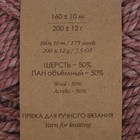 Пряжа "Сувенирная" 50% акрил, 50% шерсть 160м/200гр (599-Увядшая роза) - Фото 3