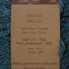 Пряжа "Сувенирная" 50% акрил, 50% шерсть 160м/200гр (763-Меланж.мор.волна) - Фото 3