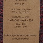Пряжа "Сувенирная" 50% акрил, 50% шерсть 160м/200гр (780-Сирен.малин.меланж) - Фото 3