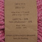 Пряжа "Сувенирная" 50% акрил, 50% шерсть 160м/200гр (885-Брусничный меланж) - Фото 3
