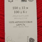 Пряжа "Элегантная" 100% мериносовая шерсть 250м/100гр (06-Красный) - Фото 3