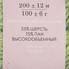 Пряжа "Радужный стиль" 25% шерсть, 75% ПАН 200м/100гр (1030-мулине салатовый/голубой) - Фото 3