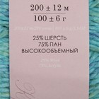 Пряжа "Радужный стиль" 25% шерсть, 75% ПАН 200м/100гр (1031-Мулине бирюза/салатовый) - Фото 3