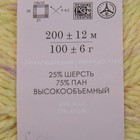 Пряжа "Радужный стиль" 25% шерсть, 75% ПАН 200м/100гр (1033-Мулине св.желтый/фиалка) - Фото 3