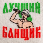 Набор для бани с принтом «Самому лучшему банщику», 3 предмета: шапка, коврик, рукавица, шерсть 30%, полиэфир 70%, светлый, «Банная забава» - фото 64518761