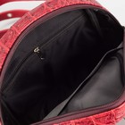 Сумка-рюкзак женский, отдел на молнии, наружный карман, цвет красный - Фото 5