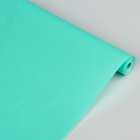 Калька для цветов "Свежесть", цвет бирюзовый, 0,5 х 10 м, 58 г/м2 - Фото 1