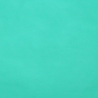 Калька для цветов "Свежесть", цвет бирюзовый, 0,5 х 10 м, 58 г/м2 - Фото 3