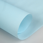 Калька для цветов "Симфония весны", цвет светло-голубой, 0,5 х 10 м, 58 г/м2 - Фото 2