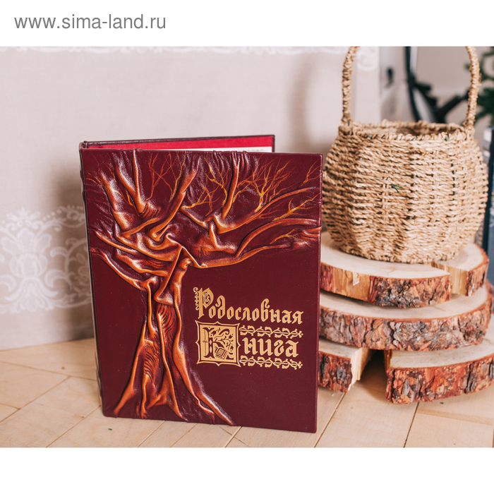 Родословная книга из натуральной кожи «Древо», 111 листов, 24.5 х 31 см - Фото 1