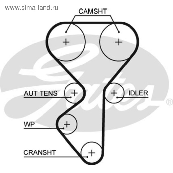 Ремень ГРМ Gates 5631XS - Фото 1