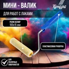 Мини-валик ТУНДРА, велюр, 100 мм, рукоятка d=6 мм, d=15 мм, ворс 5 мм - Фото 1