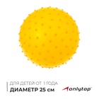 Мяч массажный, d=25 см, 80 г, МИКС - Фото 1