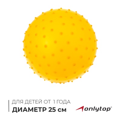 Мяч массажный, d=25 см, 80 г, МИКС