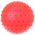Мяч массажный, d=25 см, 50 г, цвета МИКС - Фото 4
