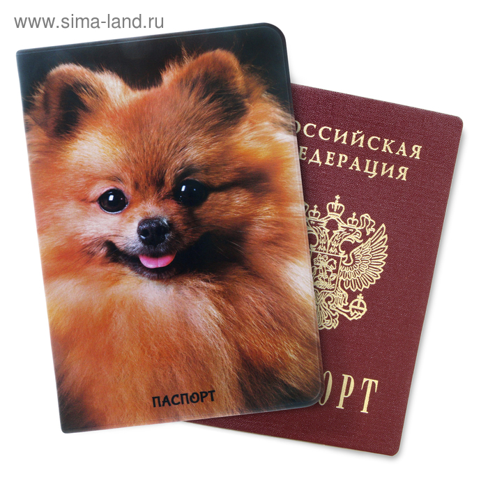 Обложка для паспорта "Шпиц" - Фото 1