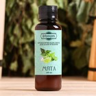 Ароматизатор для бани и ванны «Добропаровъ», мята, натуральный, 100 мл - Фото 4