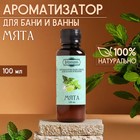 Ароматизатор для бани и ванны «Добропаровъ», мята, натуральный, 100 мл - Фото 1