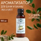 Ароматизатор для бани и ванны «Эвкалипт», натуральная, 100 мл, «Добропаровъ» - Фото 1