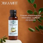 Ароматизатор для бани и ванны «Эвкалипт», натуральная, 100 мл, «Добропаровъ» - Фото 2