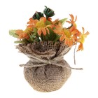 композиция ромашка 15*9 см - Фото 1