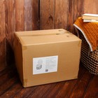 Биотуалет жидкостный «Толик», нижний бак 12 л, верхний бак 12 л - Фото 6