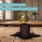 Таблетки торфяные, для рассады, d=3.6 см, с оболочкой, набор 50 шт. - Фото 2