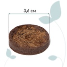 Таблетки торфяные, для рассады, d=3.6 см, с оболочкой, набор 50 шт. - Фото 5