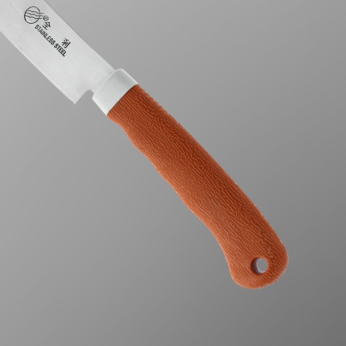 Нож туристический "Вепрь" 21,5см, клинок 11,5 см, рукоять под дерево - фото 1905311394