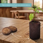 Таблетки торфяные, для рассады, d=3.6 см, с оболочкой, набор 10 шт. - Фото 3