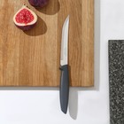 Нож Plenus для мяса, длина лезвия 12,5 см - фото 5854659
